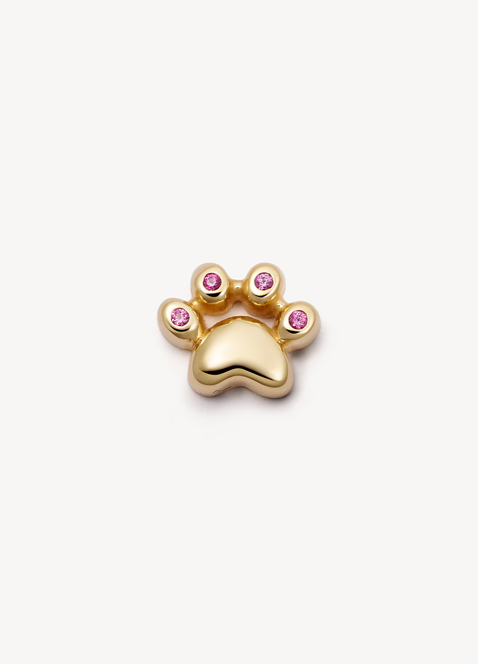 The Cat Paw Locket