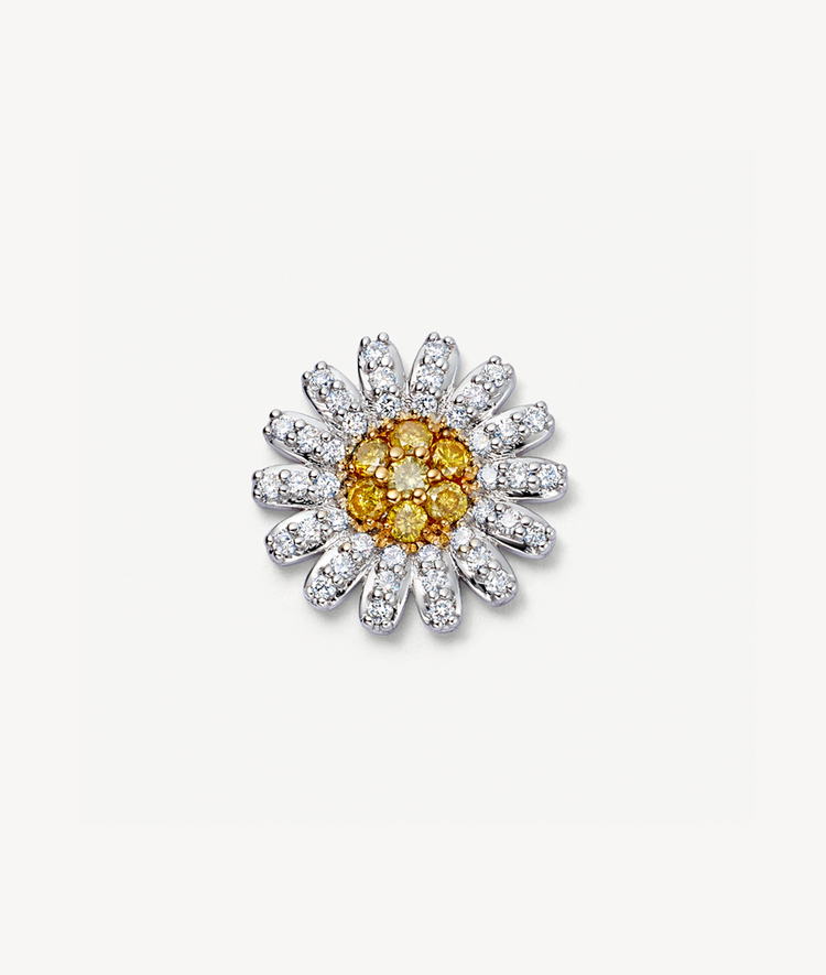 Bee My Love Gift Set