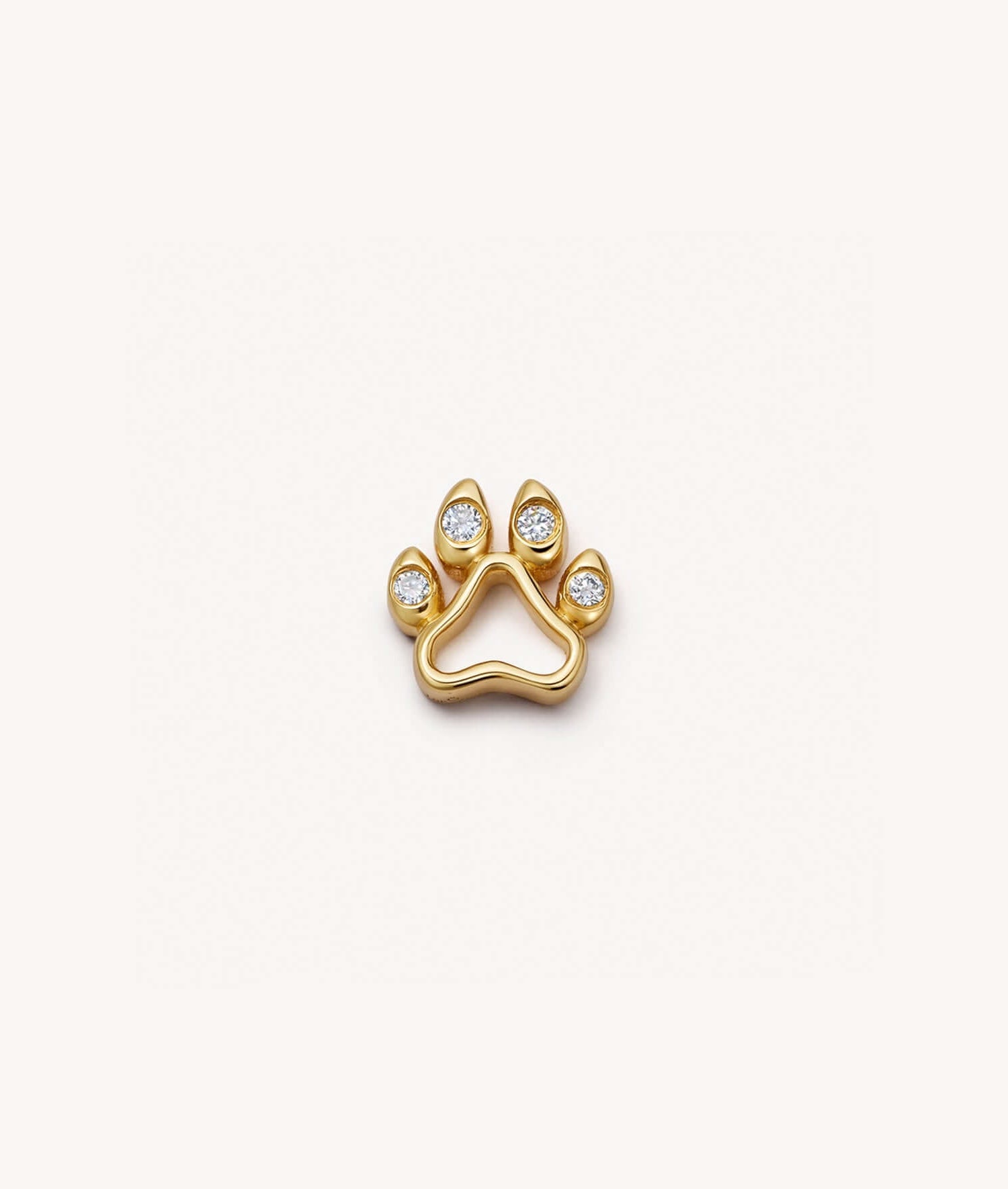 Dog Paw Charm