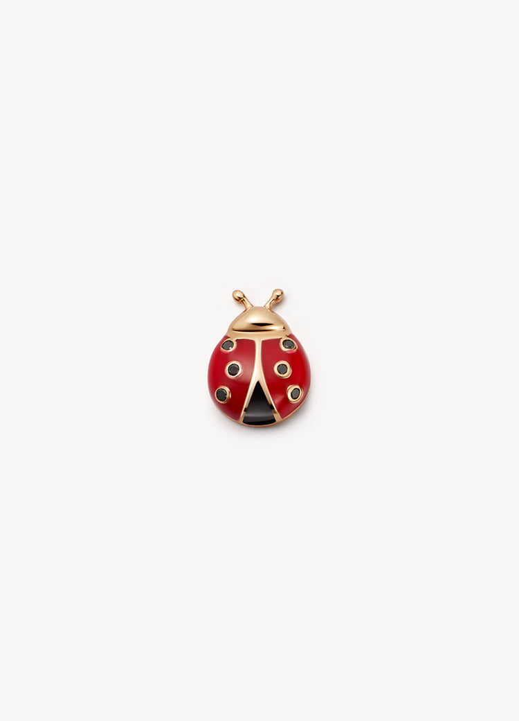 Ladybird Charm