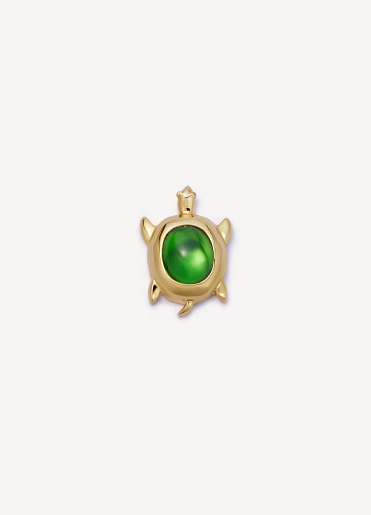 Sea Turtle Charm
