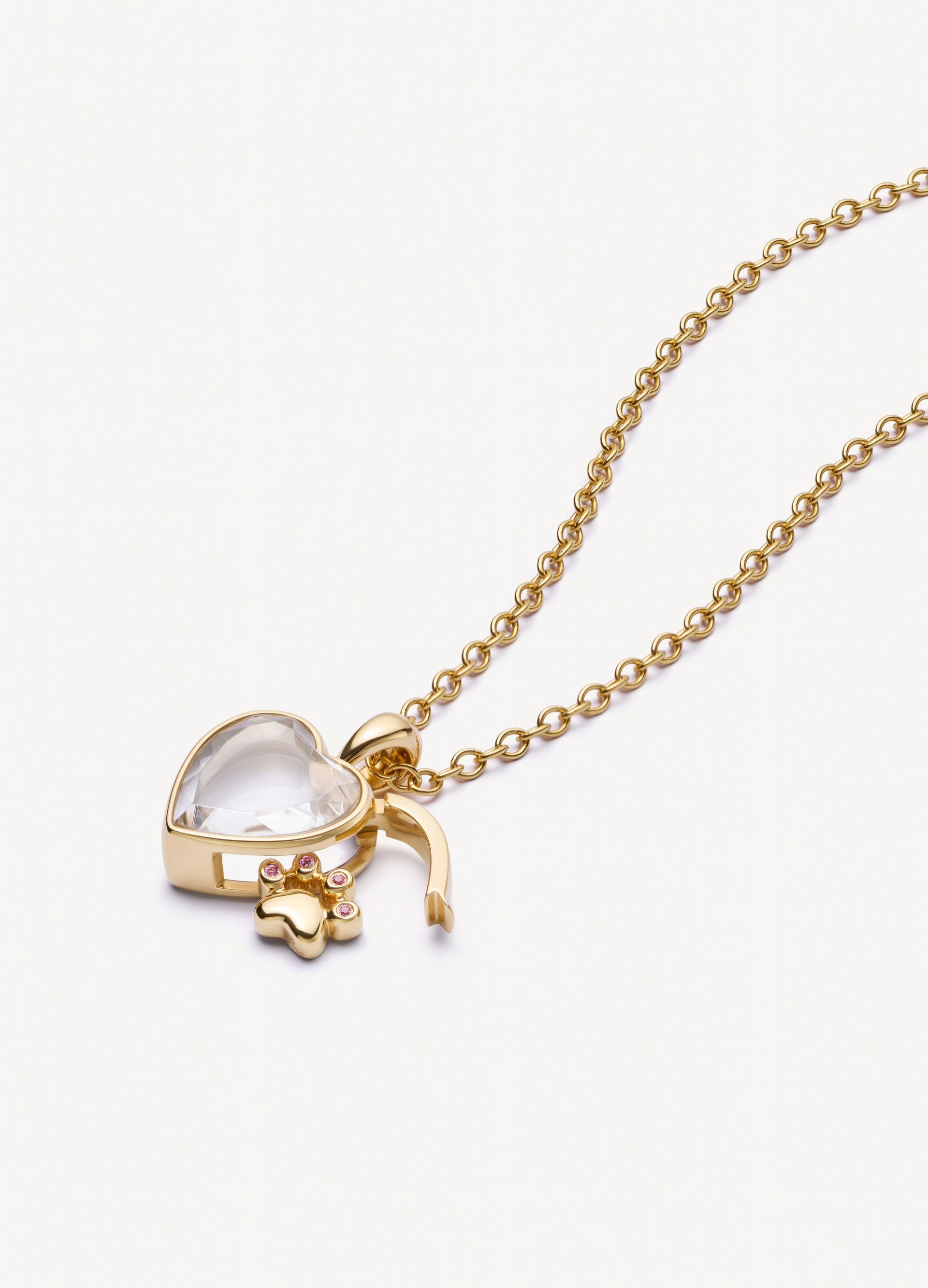 The Cat Paw Locket