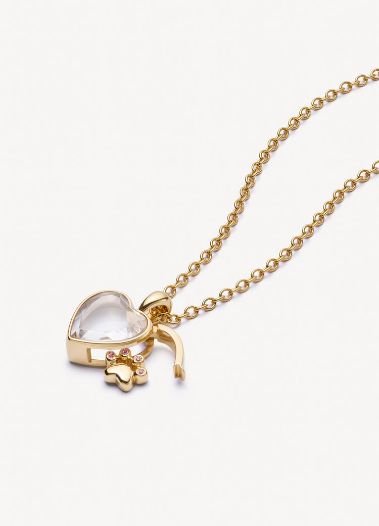 The Cat Paw Locket