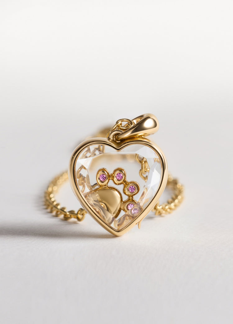 The Cat Paw Locket