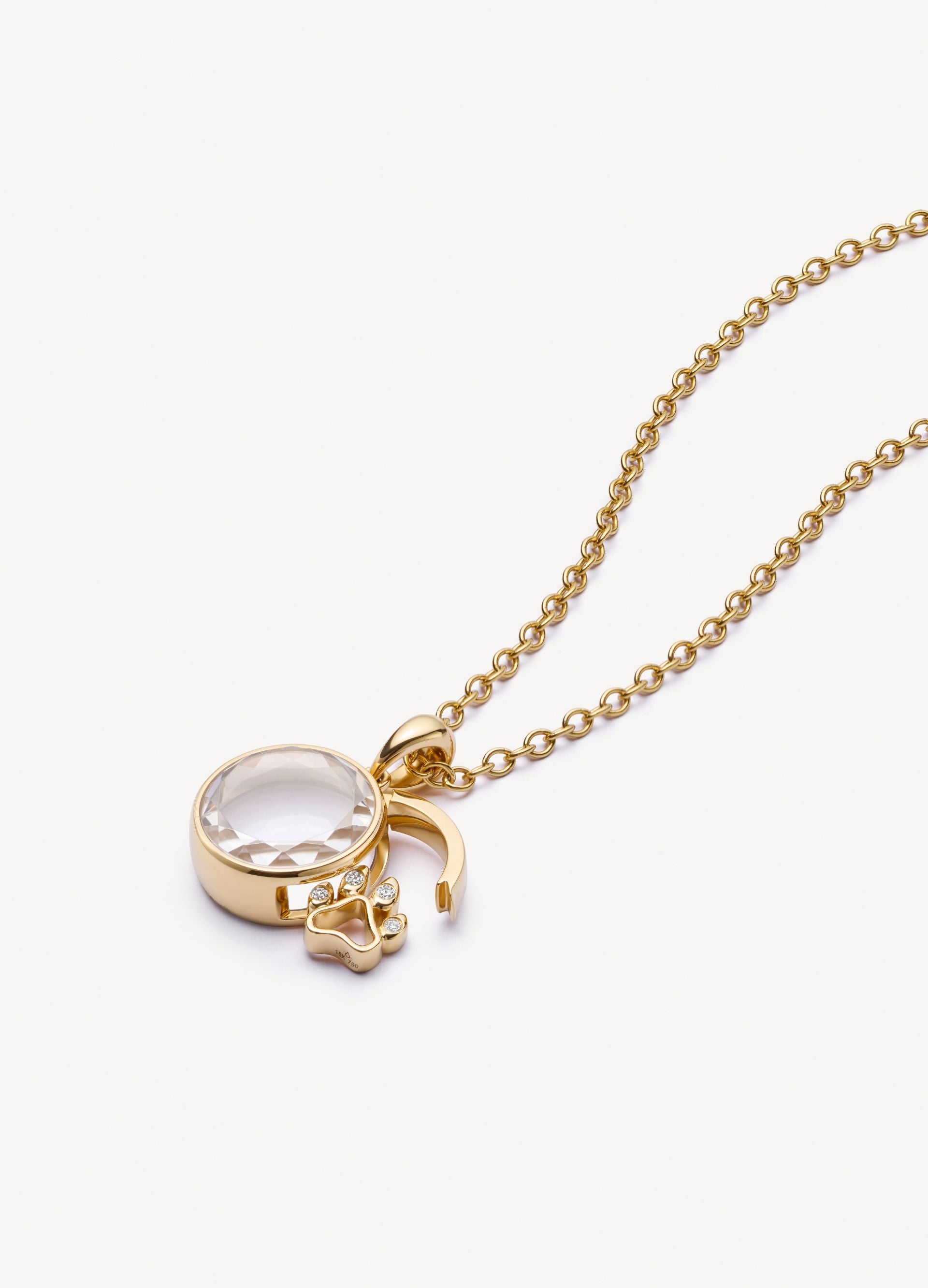  The Dog Paw Locket