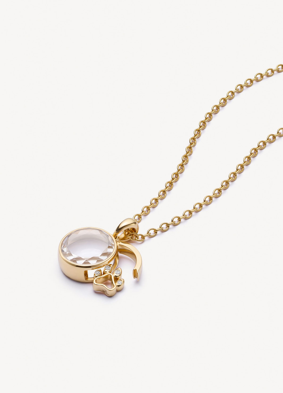  The Dog Paw Locket
